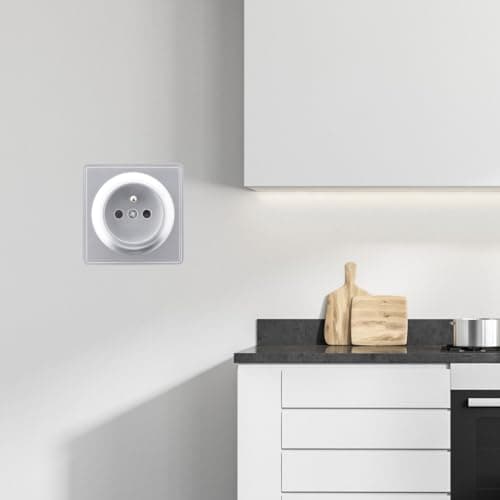 Prise Zenitech saillie 2P+T 16A Silver Vulco - Maison