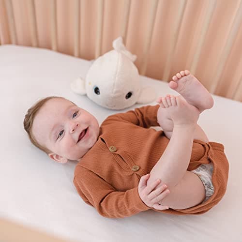 Peluche Pabobo Béluga Sommeil Veilleuse Multicolore Oeko-texBerçante Bruits Blancs