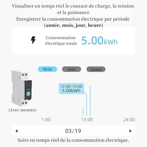 Commutateur Intelligence WIFI Domestic Disjoncteur Télécommande Portable 3 Modes Synchronisation Électroménager 40A