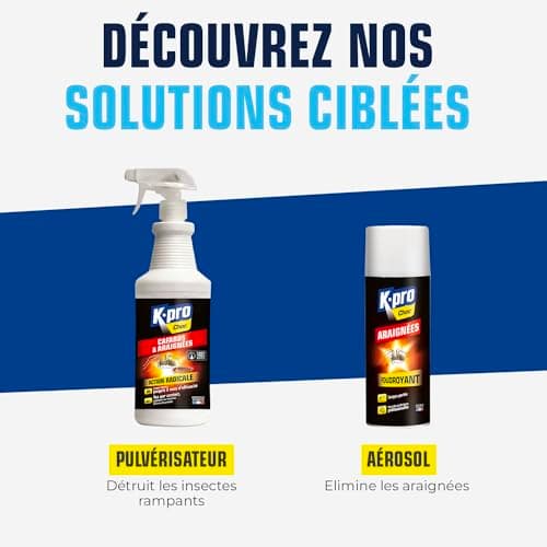 K.PRO CHOC - Spray Aérosol Anti Cafards et Araignées - Action Radicale, Effet Longue Durée - 1l