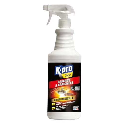 K.PRO CHOC - Spray Aérosol Anti Cafards et Araignées - Action Radicale, Effet Longue Durée - 1l