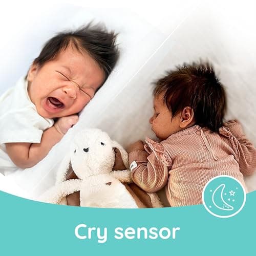 myHummy Lapin 5 en 1 avec nom - Jouet éducatif interactif pour enfant, lumière vibrez sons, confort de sommeil, écru-gri