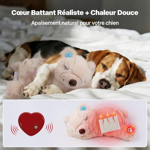 Peluche Apaisante avec Battement de Cœur pour Chien – Anti-Stress, Sommeil Paisible, Idéal Contre l'Anxiété de Séparatio