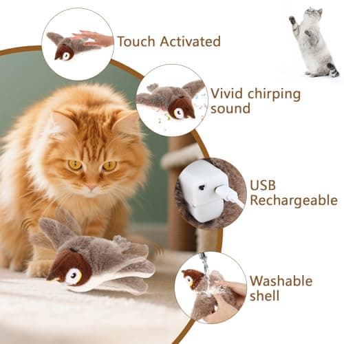 Collazoey Jouet pour Chat Interactif en Peluche, Simulant le Gazouillis, pour Jouer à l'Intérieur