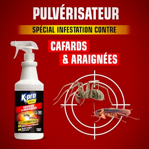 K.PRO CHOC - Spray Aérosol Anti Cafards et Araignées - Action Radicale, Effet Longue Durée - 1l