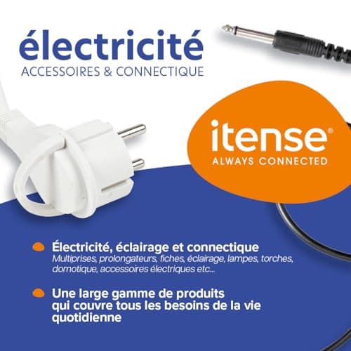 ITENSE Prolongateur électrique 16A Câble HO5VV-F 3G1 mm² Rallonge 2m pour usage intérieur blanc extension robuste