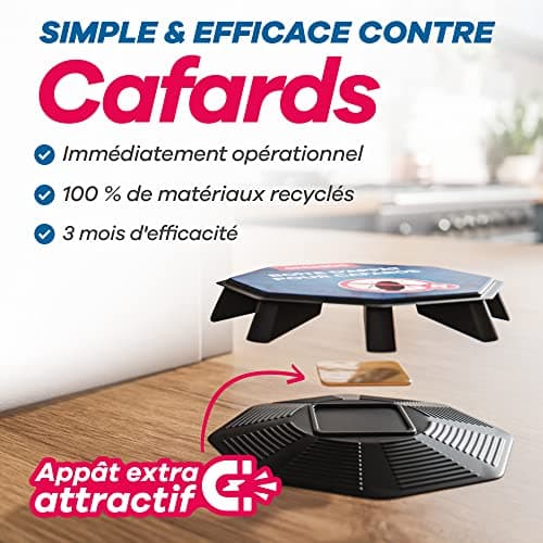 Gerobug piege cafard Professionnel 4 pièces - Attractif puissant et durée longue - Pour exterminateur de cafards - Boîte