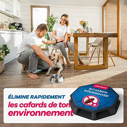 Gerobug piege cafard Professionnel 4 pièces - Attractif puissant et durée longue - Pour exterminateur de cafards - Boîte