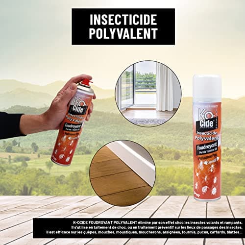 K-OCIDE Foudroyant Polyvalent - Insecticide Multi-Usage Rapide - 400 ml