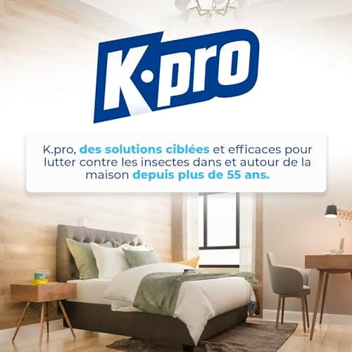 K.PRO CHOC - Spray Aérosol Anti Cafards et Araignées - Action Radicale, Effet Longue Durée - 1l