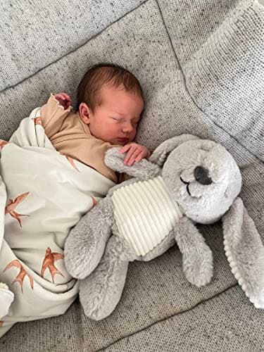 Peluche Musicale de Sommeil pour Bébé avec Bruit Blanc et Minuterie - Couleur Gris