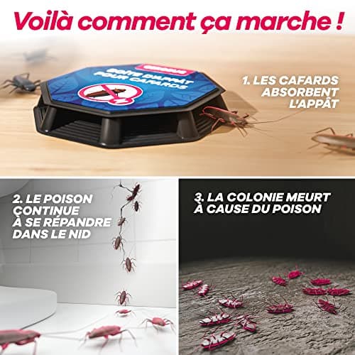Gerobug piege cafard Professionnel 4 pièces - Attractif puissant et durée longue - Pour exterminateur de cafards - Boîte