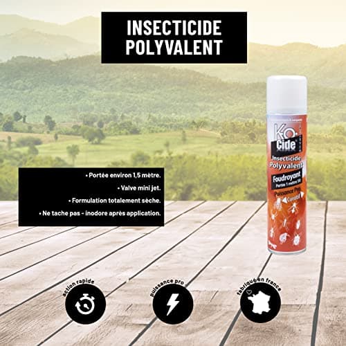 K-OCIDE Foudroyant Polyvalent - Insecticide Multi-Usage Rapide - 400 ml